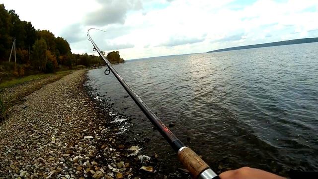 Рыбалка на Сурском водохранилище Ловим плотву и подлещика смотреть онлайн