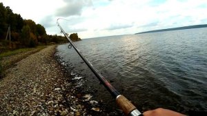 Рыбалка на Сурском водохранилище  Ловим плотву и подлещика