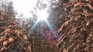 Юкари Ито. Звук его шагов.