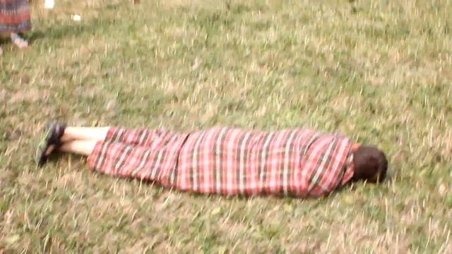 ГусенИца превращается в бабочку. смотреть онлайн
