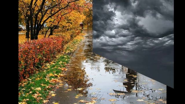 Стих собственного сочинения - осень. смотреть онлайн