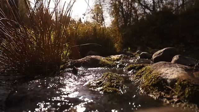 Звуки воды релакс Sound of nature смотреть онлайн