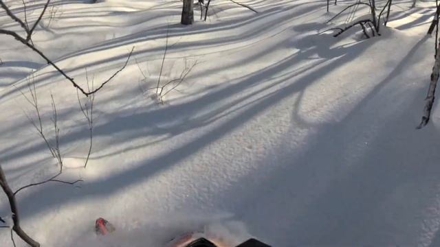 Мартовский гон смотреть онлайн
