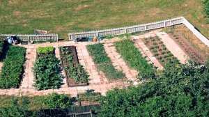 применение БПЛА в сельском хозяйстве