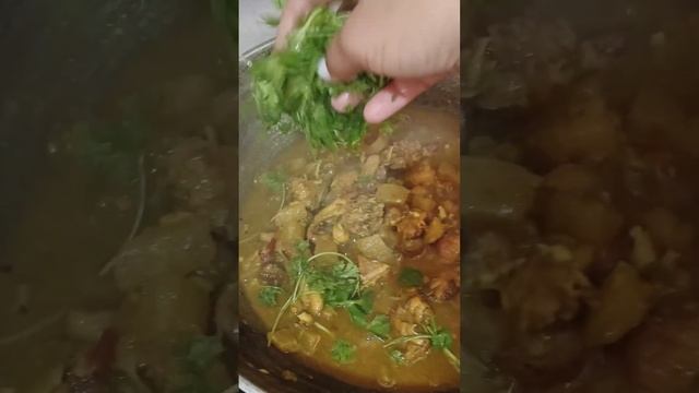 Kumbra Dao ? Swr Swr ni fav lwgwfwr ♥️? смотреть онлайн