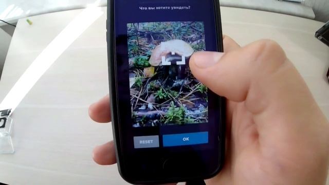 Gopro Quik обучение