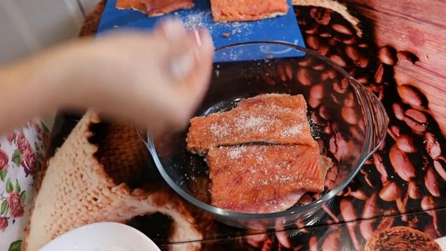 Зоопарк и Дикие Животные