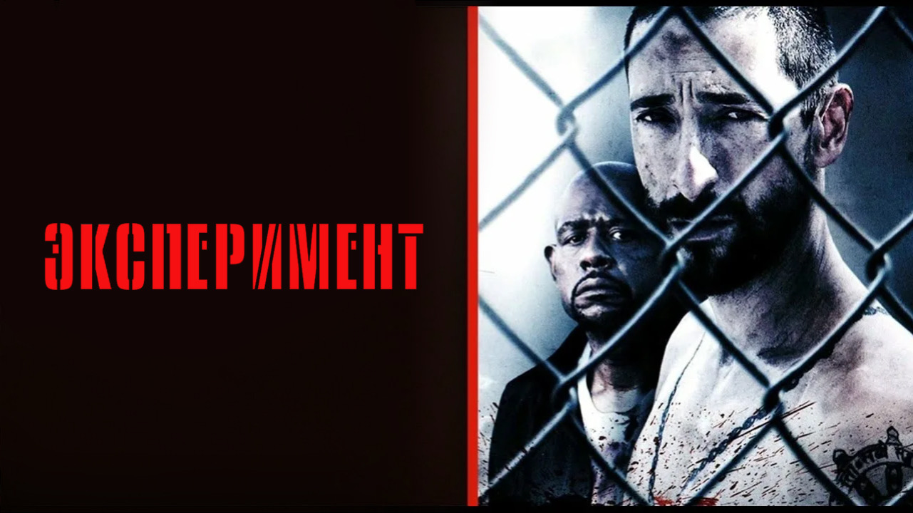 Эксперимент | The Experiment (2010) смотреть онлайн