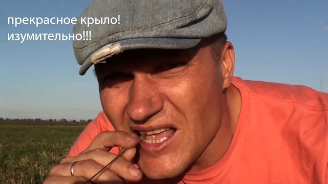 Independence Duke test drive смотреть онлайн