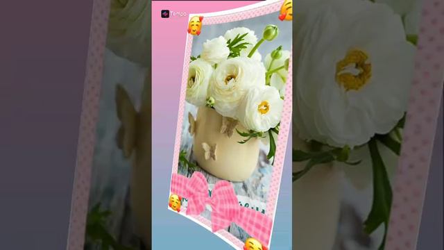 🎂Завтра у меня день рождения 🎂22 марта🎂🎉🍻 смотреть онлайн