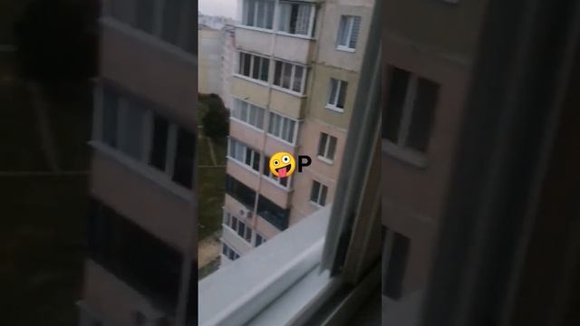 карфакс как меня напугала ворона смотреть онлайн