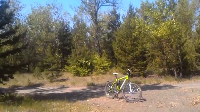 Выжить на острове Татышев смотреть онлайн