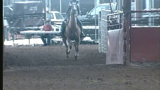 Frosty Magnolia Bug смотреть онлайн