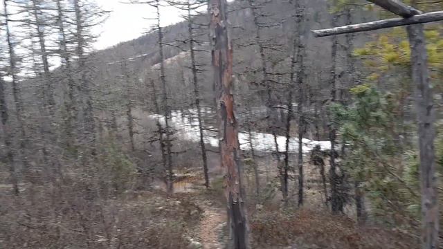 Зимовье охотника..Hunter's Winter Quarters