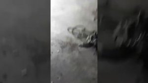 Замена Грм мерседес А 140 1999 года двигатель 1.4