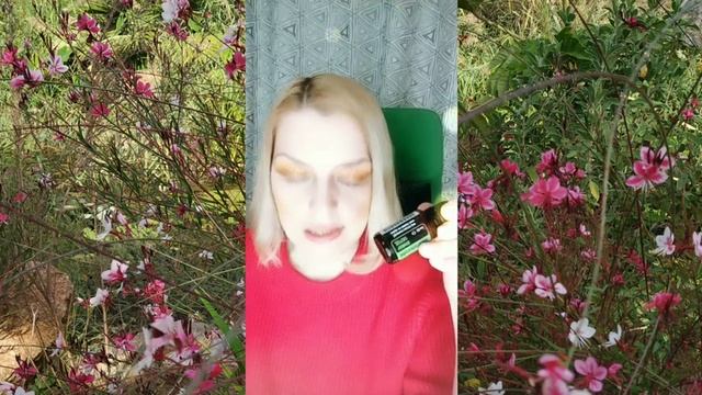 АРОМАТЫ ДЛЯ ЗИМЫ (лимон, чайное дерево, эвкалипт, апельсин) смотреть онлайн