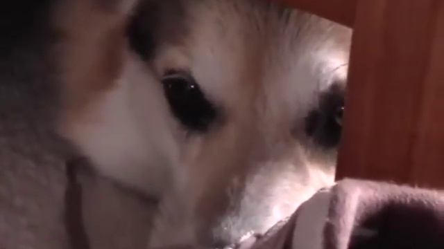 08dec23MOV002 смотреть онлайн