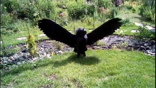 Скульптуры в моем саду. Часть 1. смотреть онлайн