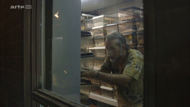 360 Geo - Venezuela, Chasseurs De Mygales