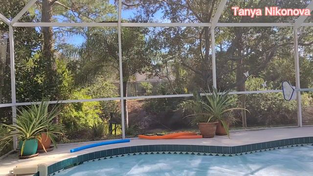 Утро у бассейна. Солнце, чистый воздух и тепло в Январе. Флорида 2021.