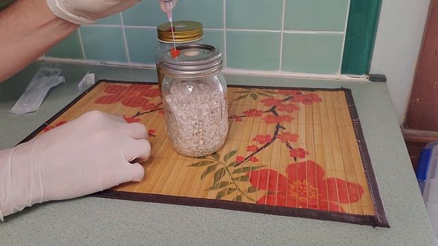 How To Make Mushroom Liquid Culture From Grain Spawn