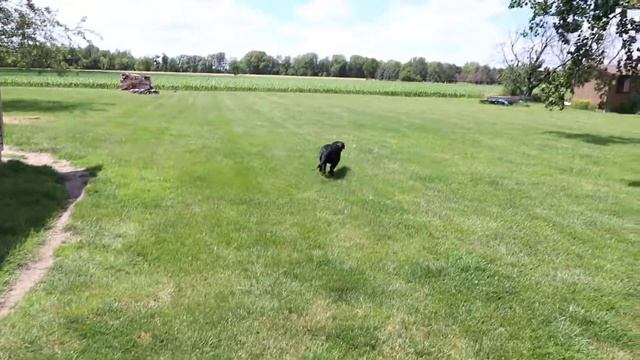 Canon EOS 77D Full HD 1080/60p Sample Movie смотреть онлайн