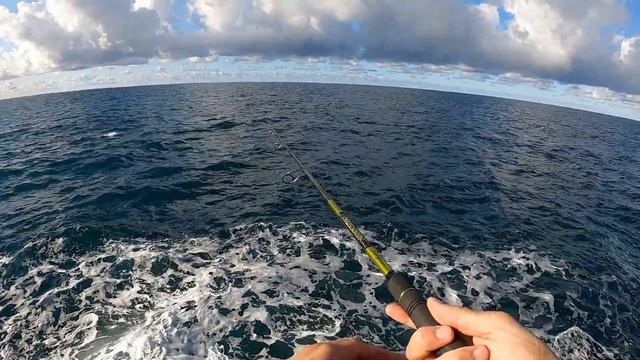 Fishing False Albacore - Duo Realis Minnow 80SP Atherina смотреть онлайн