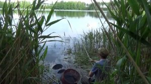 Садок с плотвой поднять из воды не удалось ... // Рыбацкие рассказы Евгения Середы //