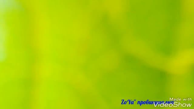 Тыква в открытом грунте. УХОД, ФОРМИРОВАНИЕ, ПОЛИВ(30.06.18) Московская обл. смотреть онлайн