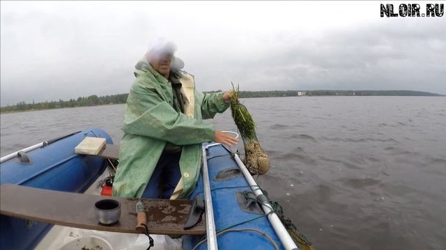 Рыбачим на волге. Ловим Леща.Прикормка и улов nloirlife смотреть онлайн