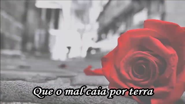 "Flor do Meu Jardim" Aldecir Jardim e Brão Paiva. смотреть онлайн