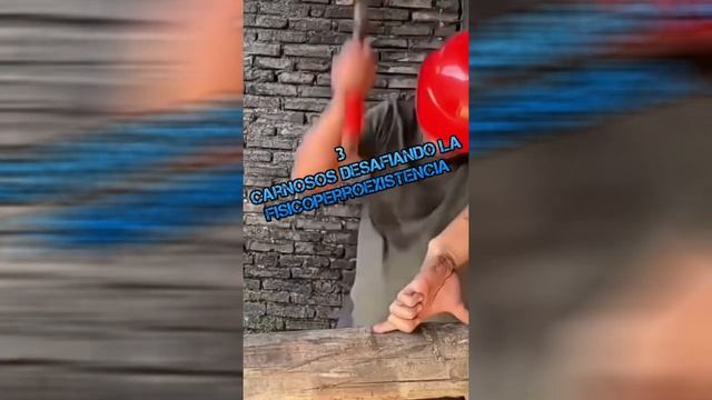 6 Voleos más Perros de HombrePerroIdes Parte 97 смотреть онлайн
