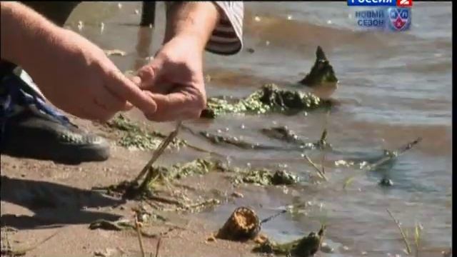 Диалоги о рыбалке 2012. Чистополь. Лещ (часть 1) смотреть онлайн