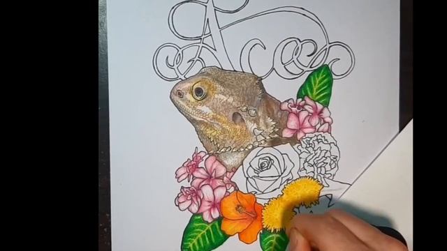 Drawing a Custom Bearded-Dragon Tattoo Design Time Lapse смотреть онлайн