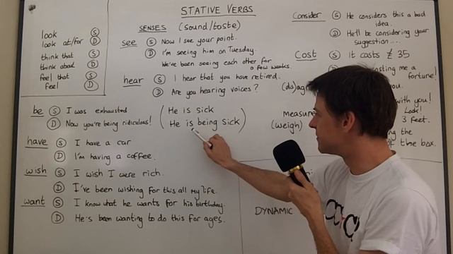 STATIVE VERBS Lesson 2 смотреть онлайн