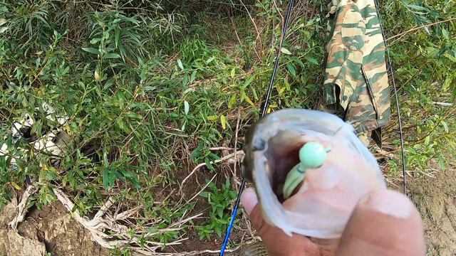 ОЧЕРЕДНОЙ ОТДЫХ НА ОКЕ ИЛИ ПЯТЬ,ОДИН В ПОЛЬЗУ РЫБЫ смотреть онлайн