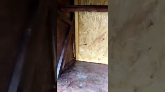 Курятник на 5 курочек смотреть онлайн