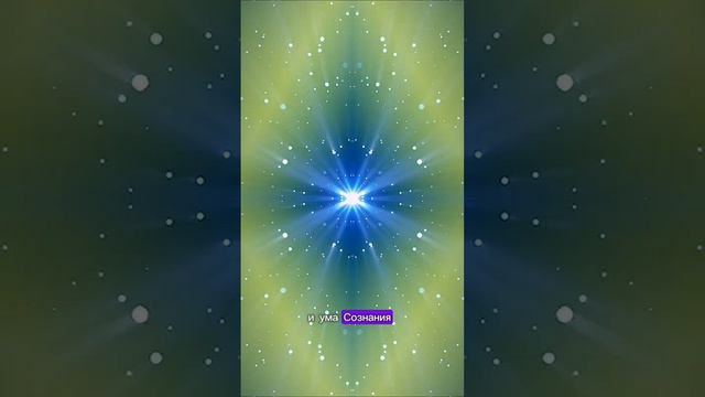 Познай Себя