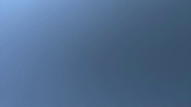 Были такие голуби.Кировоградская линия гривунов. смотреть онлайн