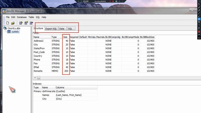 Convert Table bde delphi To DataBase Absolute смотреть онлайн