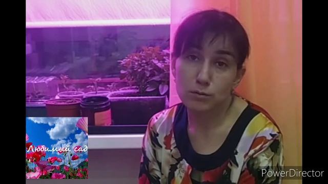 Досветка рассады, фитолампы и пр.☀️ смотреть онлайн