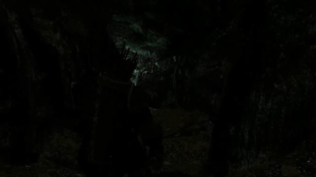 The Elder Scrolls V Skyrim PC Max Settings GTX680 OC 4 Gb Over 120 Mods Dungeons