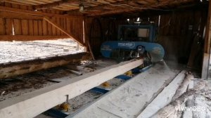 Распиловка ели на ленточной пилораме одним человеком.