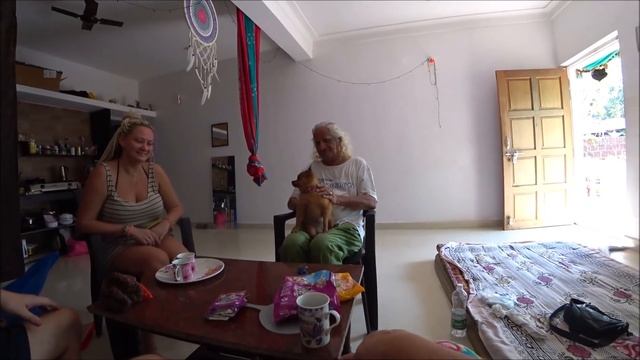 237. Прилетел еще самолет из России. Как привезти собачку в Индию. Подарки от Кати, Виталия и Молли смотреть онлайн