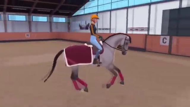 Equestrian The Game мой кск #видеонемои#видеомоегокск