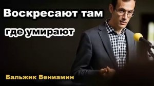 Воскресают там, где умирают  Бальжик Вениамин Проповедь МСЦ ЕХБ 2020