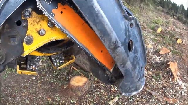 На съёмки фильма