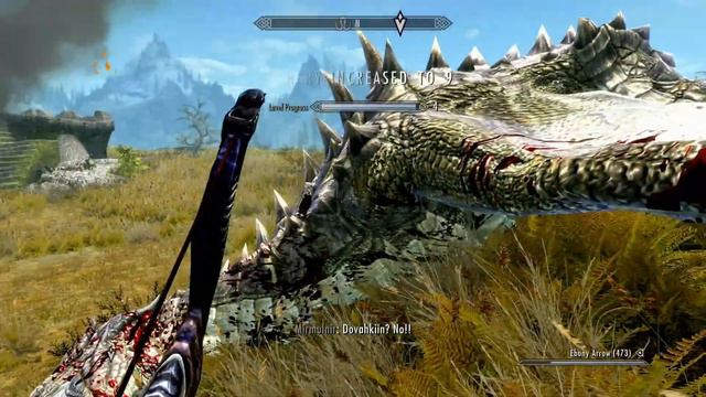 Skyrim (mods) - Mercy - Watchtower Dragon смотреть онлайн