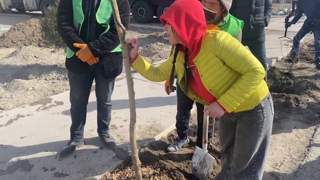 Кулинарный Календарь