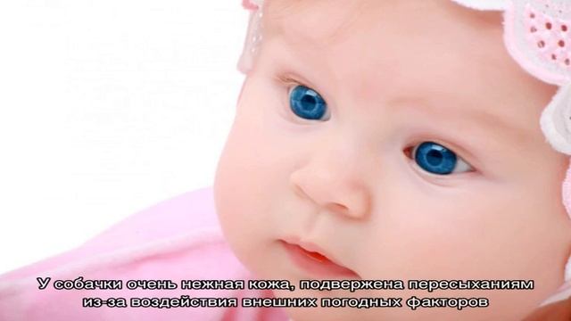 Обращение взгляда через ресницы